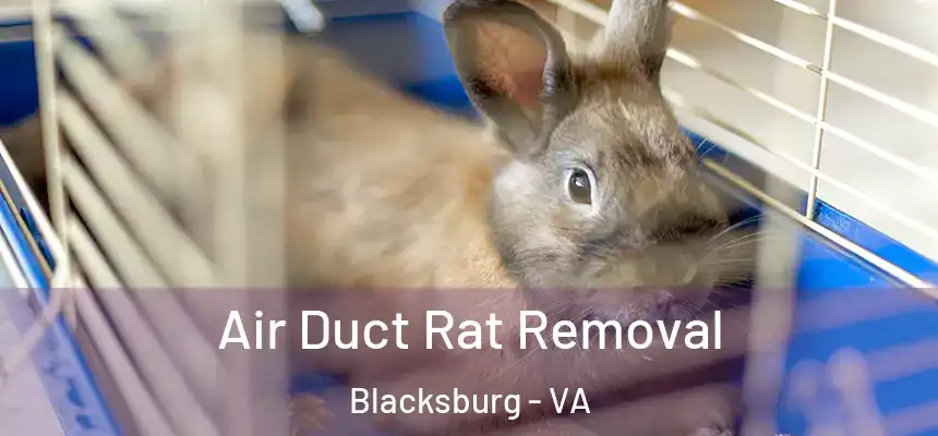  Air Duct Rat Removal Blacksburg - VA