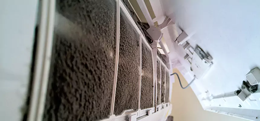 Preventive Air Duct Bacteria Removal in Blacksburg