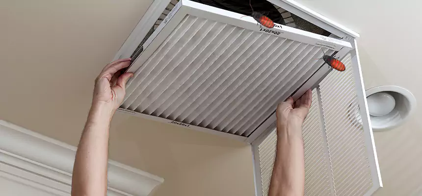 Preventive Cockroach-Proofing for Ducts in Blacksburg