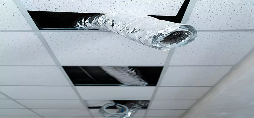 Our Air Duct Pet Hair Removal Services in Blacksburg, VA