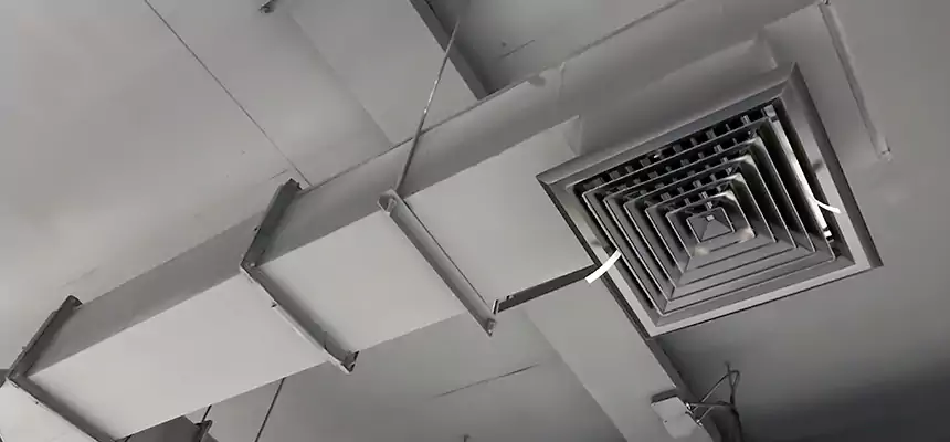 Our Rodent Droppings In Vents Services in Blacksburg, VA