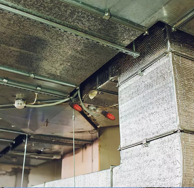 Why Homeowners & Businesses Trust Us in Blacksburg, VA?